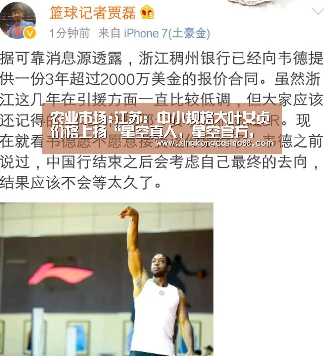 农业市场:江苏:中小规格大叶女贞价格上扬“星空真人,星空官方,星空平台,星空下载”(图3) 星空真人,星空官方,星空平台,星空下载