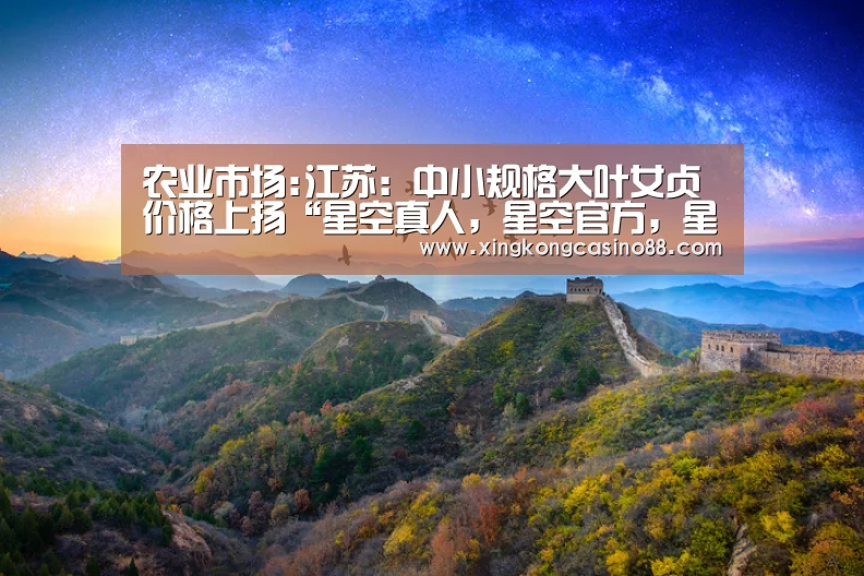 农业市场:江苏:中小规格大叶女贞价格上扬“星空真人,星空官方,星空平台,星空下载”(图2) 星空真人,星空官方,星空平台,星空下载