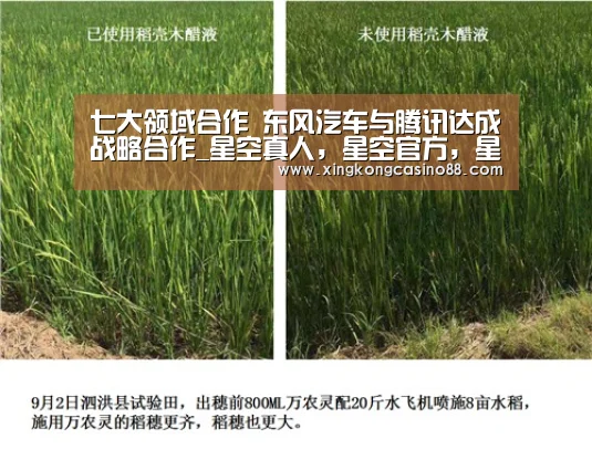 七大领域合作 东风汽车与腾讯达成战略合作_星空真人,星空官方,星空平台,星空下载(图2) 星空真人,星空官方,星空平台,星空下载