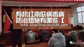 有机红南瓜病毒病防治措施有哪些【星空真人,星空官方,星空平台,星空下载】(图4) 星空真人,星空官方,星空平台,星空下载